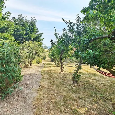 6 Person In Soby Aero-by Traum Havrekobbel