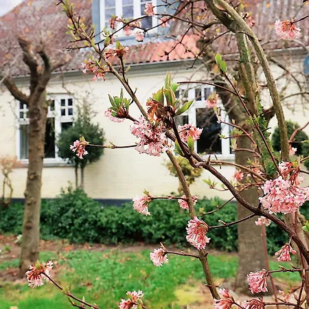 度假居 6 Person In Soby Aero-by Traum Havrekobbel