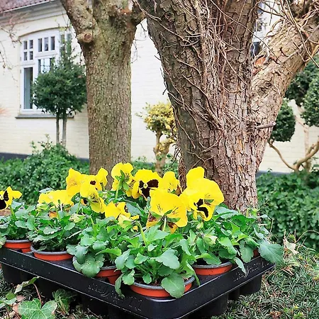 6 Person In Soby Aero-by Traum 度假居